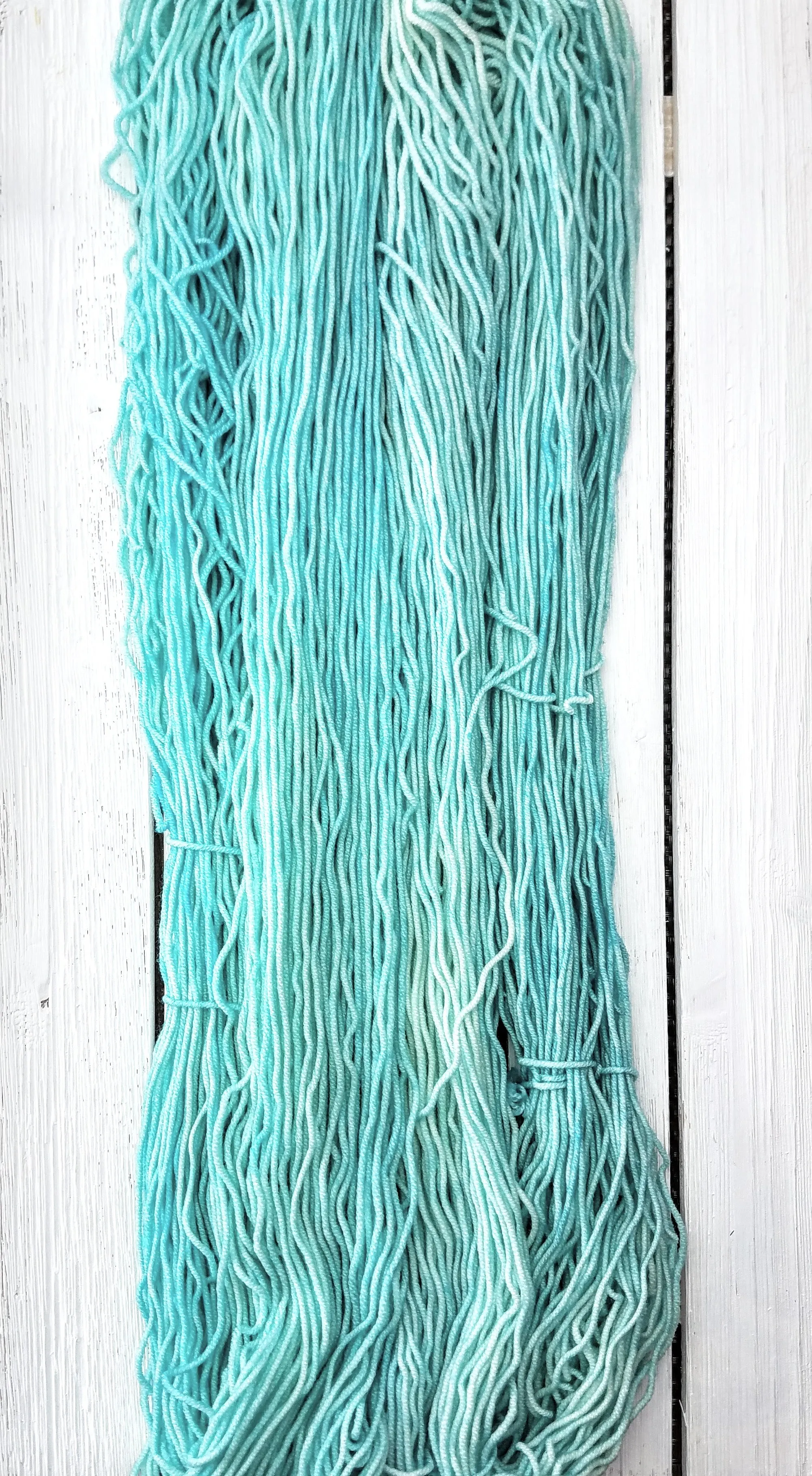 Beyond the Reef (Kitty Pride Fibers)