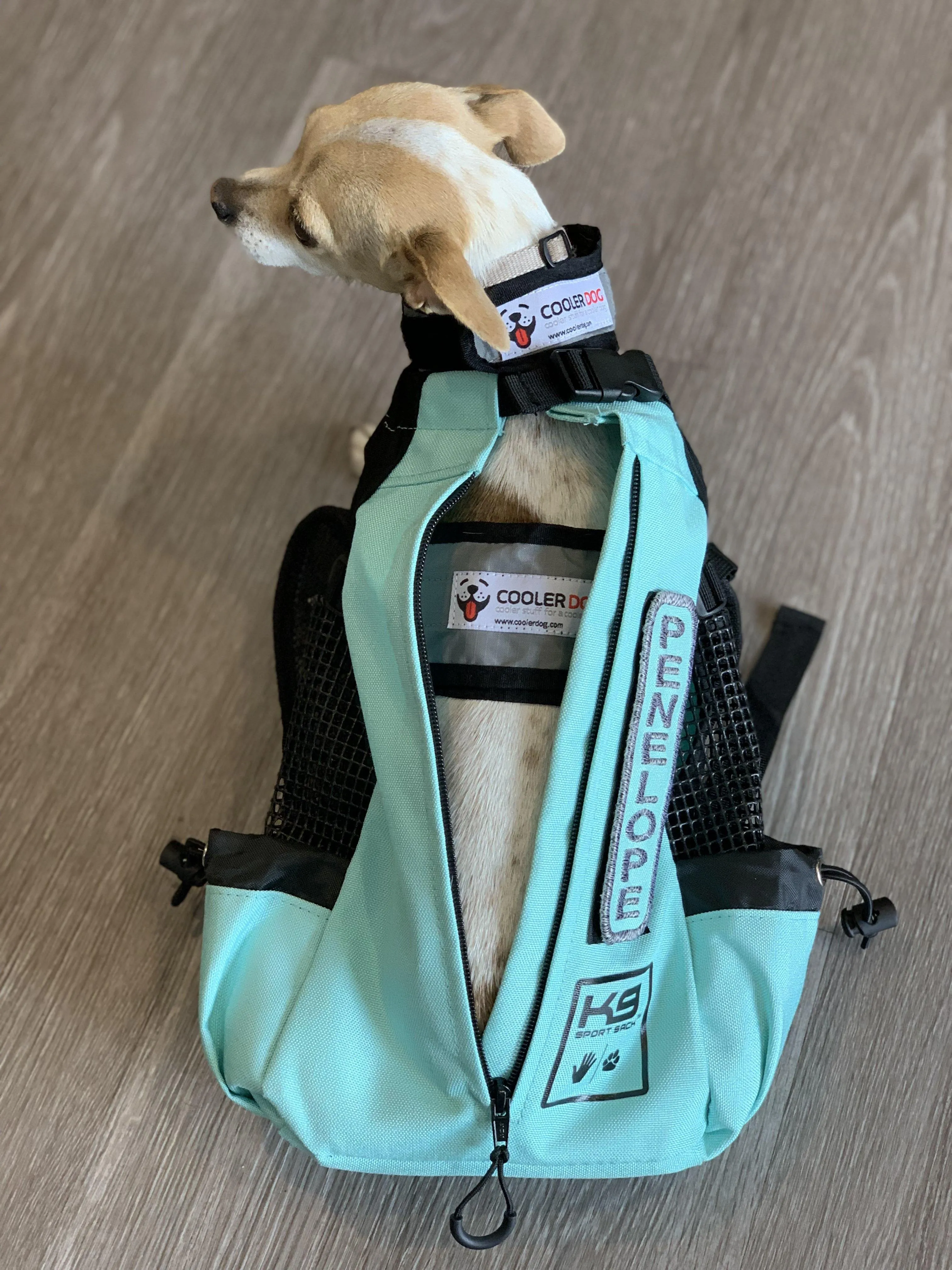 CoolerDog Cooling Vest & Collar