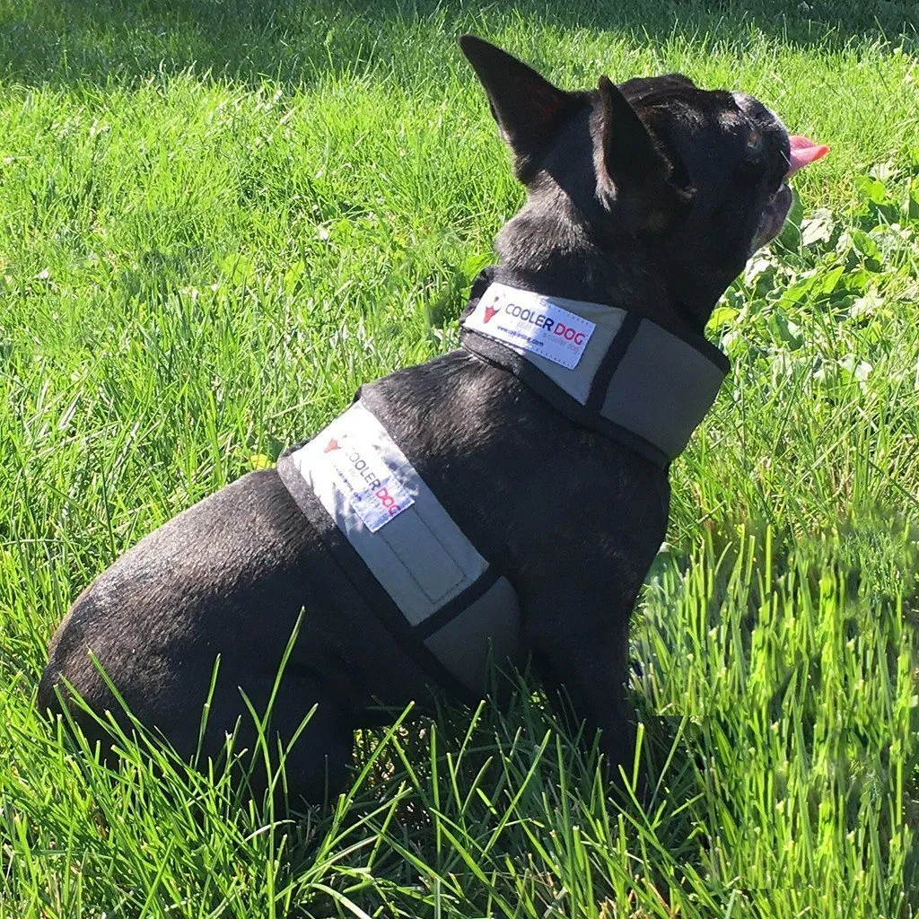 CoolerDog Cooling Vest & Collar