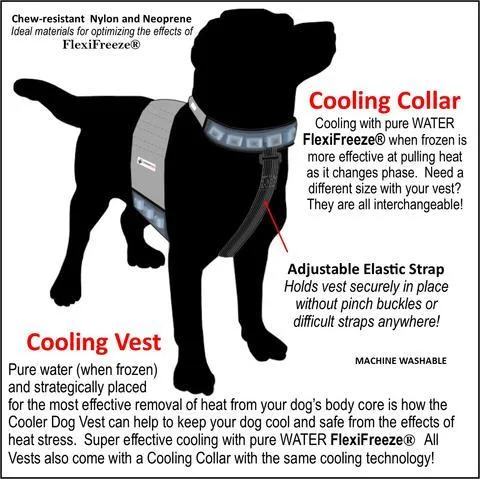 CoolerDog Cooling Vest & Collar