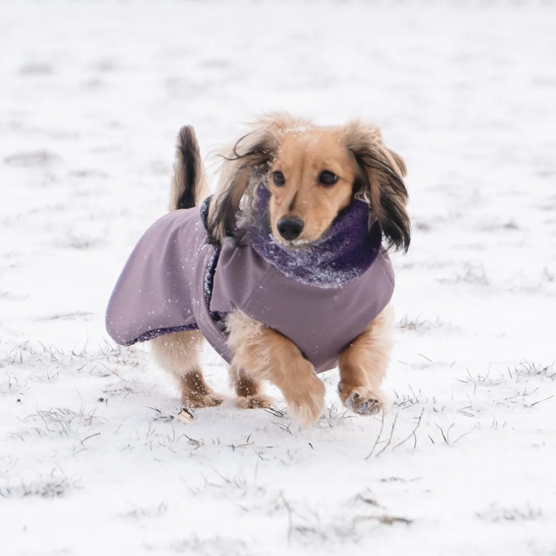 Dachshund Jacket