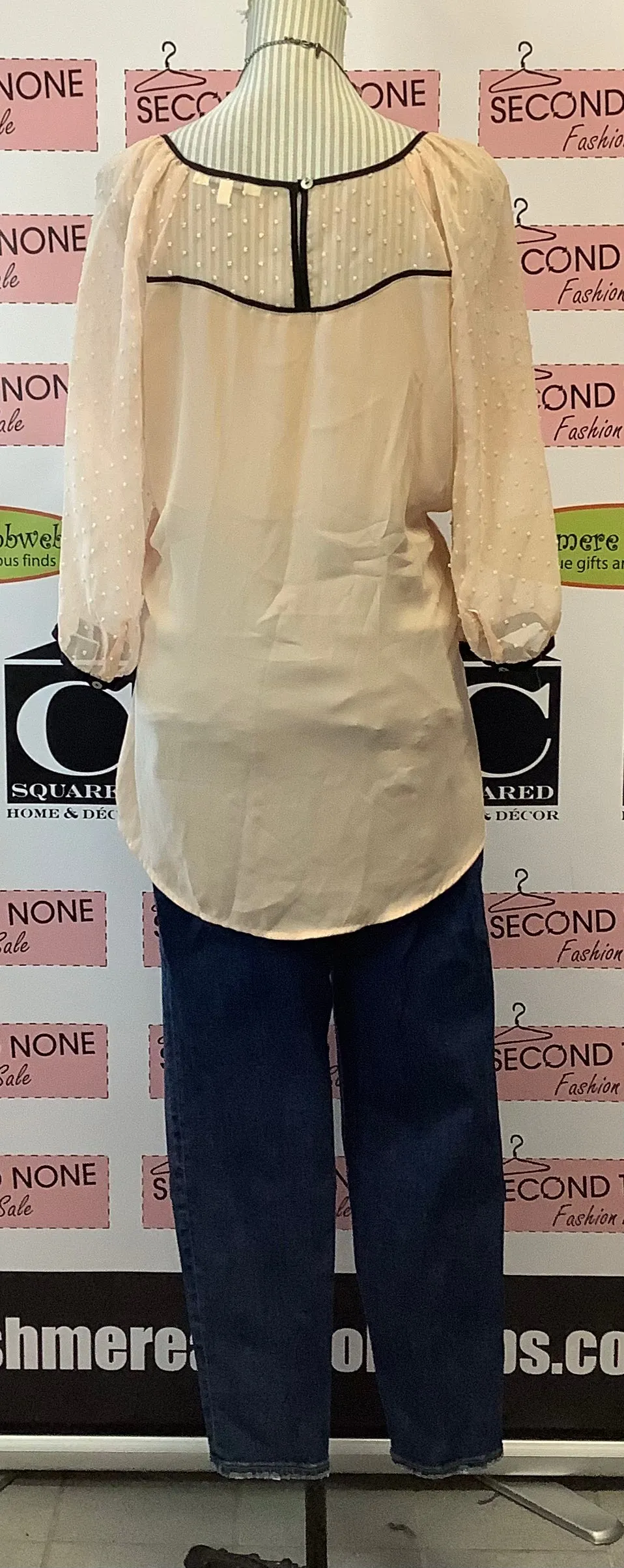 Daniel Rainn Sheer Peach Top (Size L)