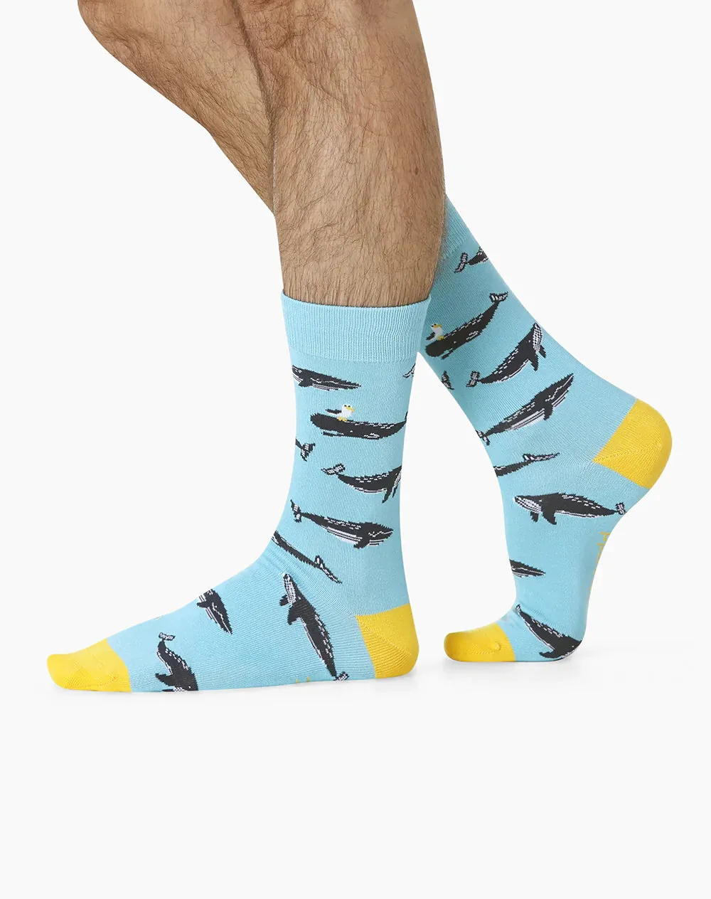 Moby Dick Bamboo Men's  Crew Socks